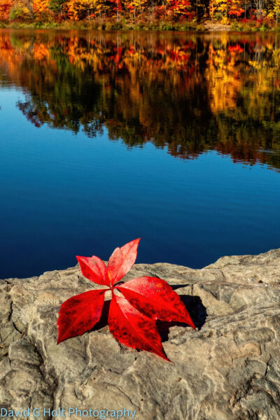 David G. Holt Color Landscape Photography
