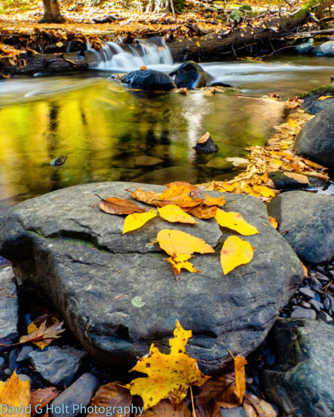 David G. Holt Color Landscape Photography