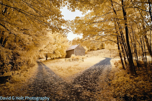 David G. Holt Colour Infrared Landscape Photography