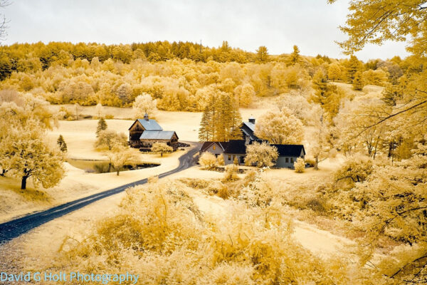 David G. Holt Colour Infrared Landscape Photography