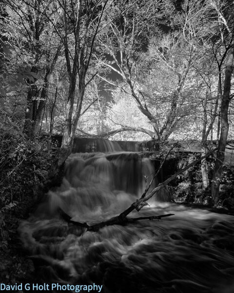 David G. Holt Black and White Infrared Landscape Photography
