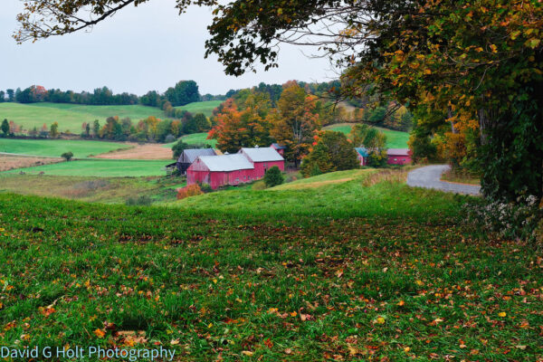 David G. Holt Color Landscape Photography