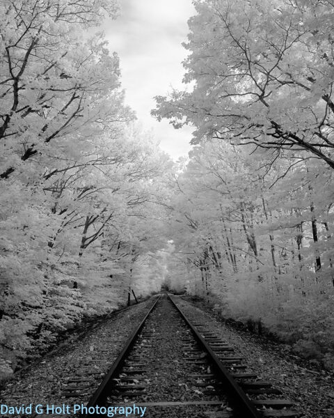 David G. Holt Black and White Infrared Landscape Photography