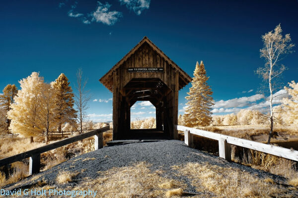 David G. Holt Colour Infrared Landscape Photography