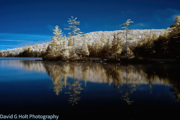David G. Holt Colour Infrared Landscape Photography