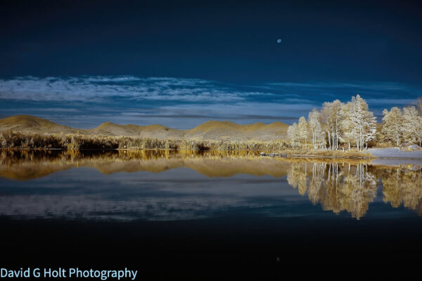 David G. Holt Colour Infrared Landscape Photography
