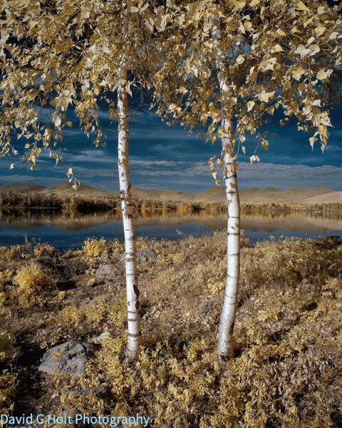 David G. Holt Colour Infrared Landscape Photography