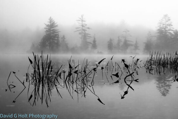 David G. Holt Black and White Landscape Photography