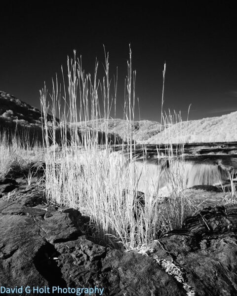 David G. Holt Black and White Infrared Landscape Photography