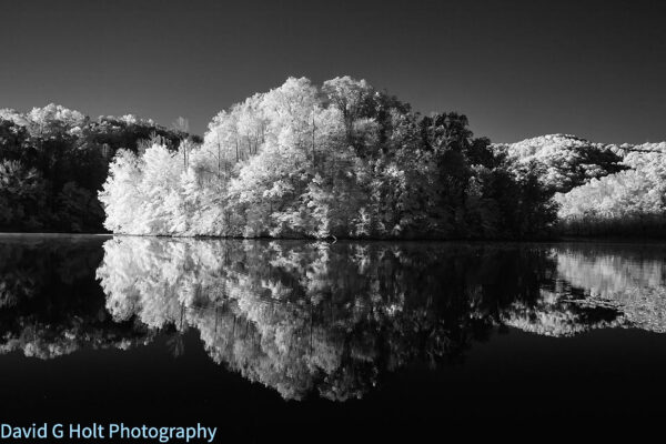 David G. Holt Black and White Infrared Landscape Photography