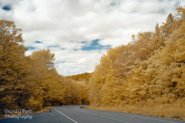 The Road to Where? Two of Two Color Infrared Photography New England