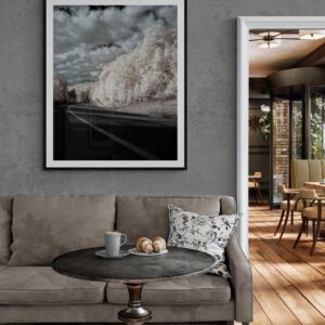 The Road to Where? One of Two Color Infrared Photography New England