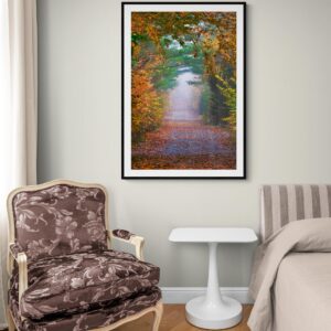 Pathway in the Mist Haunting New England Autumn Landscape