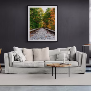 Going Somewhere? Train Trestle Bridge Autumn New England Color Photography 3 of 3